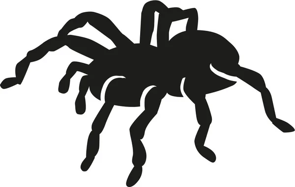 Tarantula silhouette vector — Stock Vector