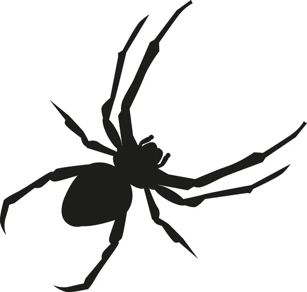 Spider realistic silhouette — Stock Vector