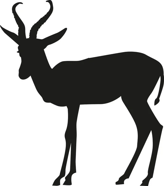 Springbok sylwetka wektor — Wektor stockowy