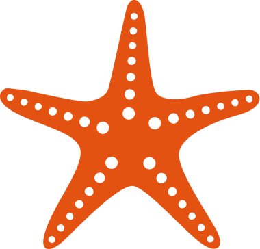 Deniz yıldızı simge vektör