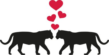 Tiger aşık Kalpler