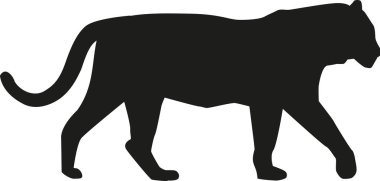 Kaplan siluet vektör