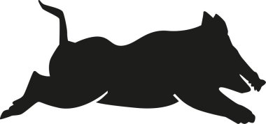 Yaban domuzu çalıştıran