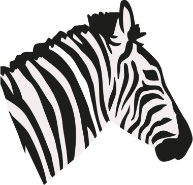 Zebra baş portre