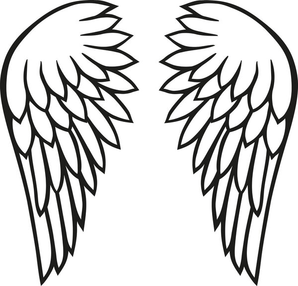 Angel wings vector