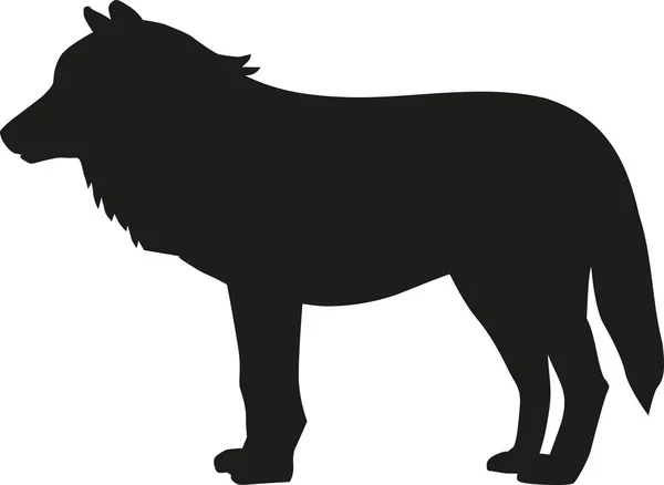 Wolf silhouette vector — Stock Vector