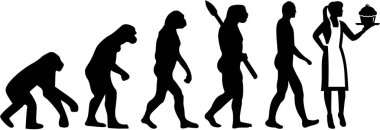 Pasta şefi kadın evrim