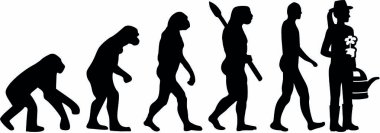 Bahçıvan evrim erkek 