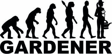 Bahçıvan evrim kadın kelime