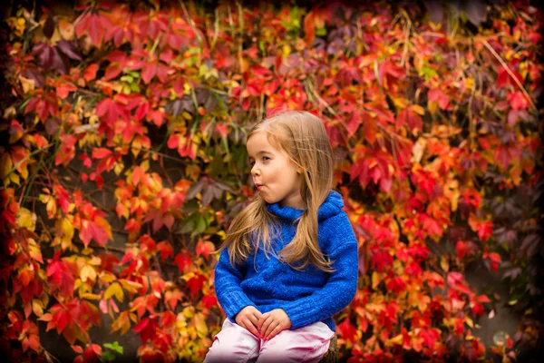 Menina em um belo fundo de outono uvas selvagens — Fotografia de Stock