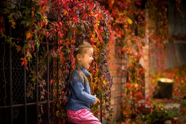 Kleines Mädchen auf einem schönen Hintergrund aus wilden Herbsttrauben — Stockfoto