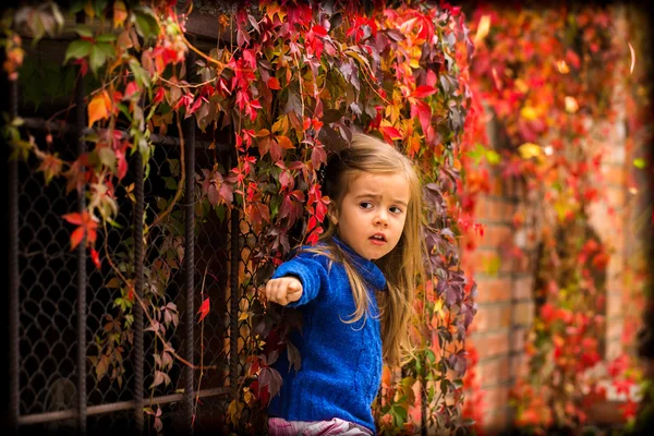 Маленькая девочка на прекрасном фоне осеннего дикого винограда — стоковое фото