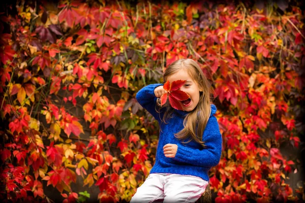Маленька дівчинка на красивому тлі осіннього дикого винограду — стокове фото