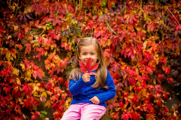 Маленькая девочка на прекрасном фоне осеннего дикого винограда — стоковое фото