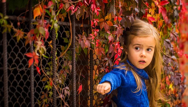 Malá holčička na krásné pozadí podzimní divoké hrozny — Stock fotografie