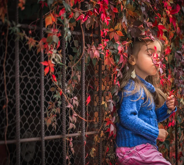 Malá holčička na krásné pozadí podzimní divoké hrozny — Stock fotografie