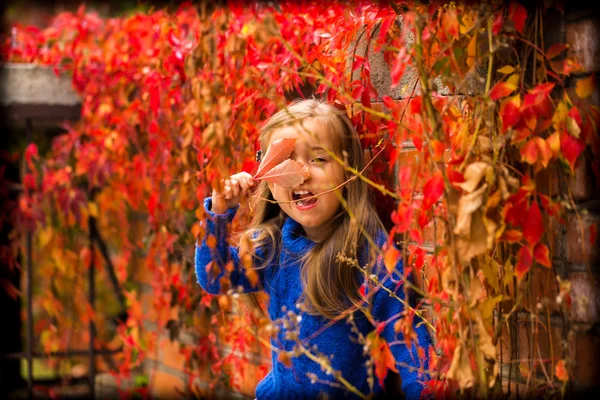 Menina em um belo fundo de outono uvas selvagens — Fotografia de Stock