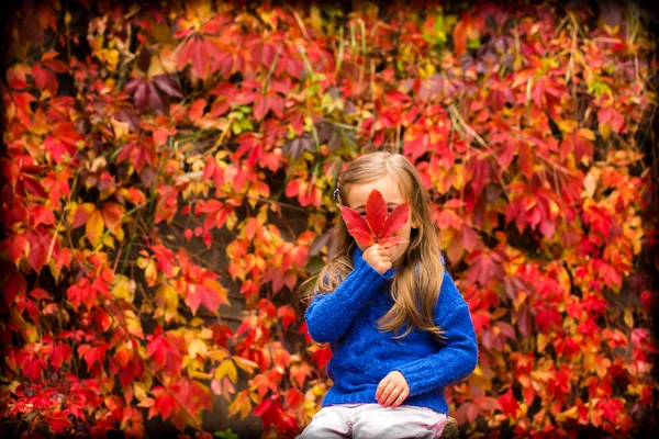 Menina em um belo fundo de outono uvas selvagens — Fotografia de Stock