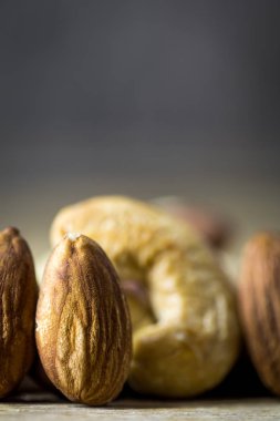 Farklı fındık portre