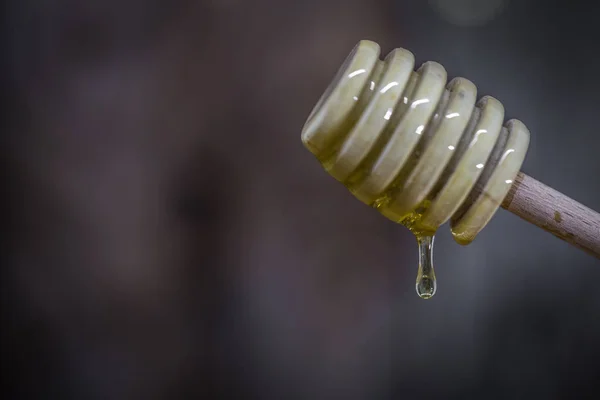 Colher de madeira para mel — Fotografia de Stock
