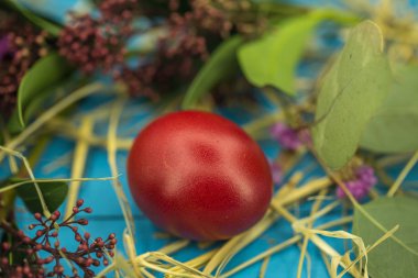 Mavi ahşap arka plan üzerinde güzel Paskalya yumurtaları