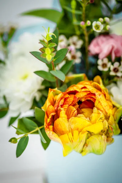 Flores vivas de primavera cerca tulipanes amarillos — Foto de Stock