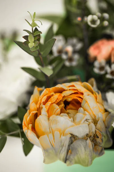 Flores vivas de primavera cerca tulipanes amarillos — Foto de Stock