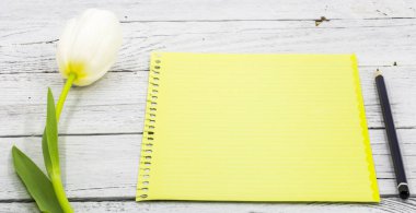 Lale ve kağıt yazıt ile