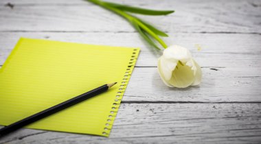 Lale ve kağıt yazıt ile