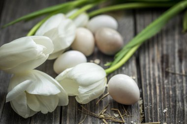 Paskalya yumurtaları ve beyaz laleler