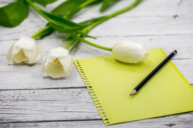 Lale ve kağıt yazıt ile