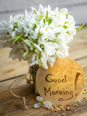 bir sürü güzel hassas kardelen