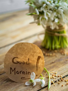 bir sürü güzel hassas kardelen