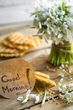 bir sürü güzel hassas kardelen