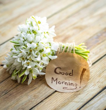 bir sürü güzel hassas kardelen