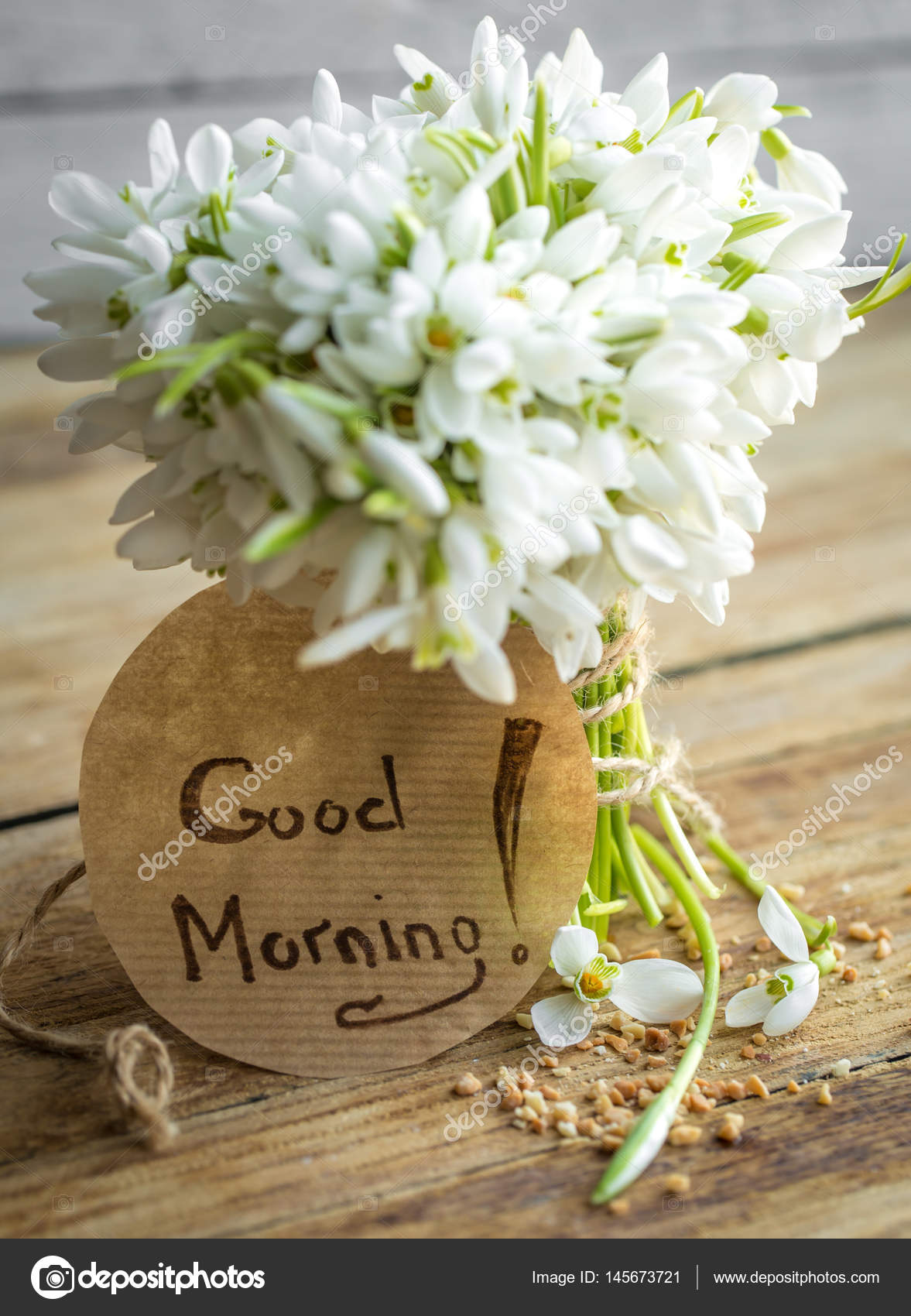 A Bunch Of Beautiful Delicate Snowdrops Stock Photo C Puhimec