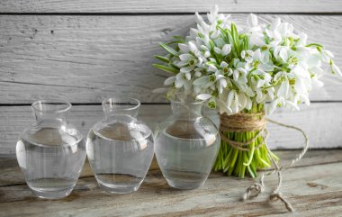 buket güzel kardelen