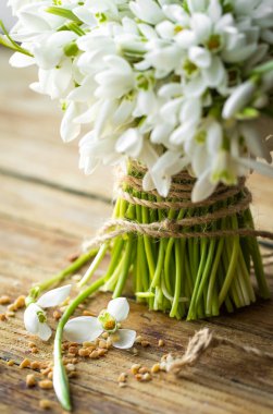 buket güzel kardelen