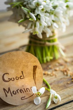 bir sürü güzel hassas kardelen