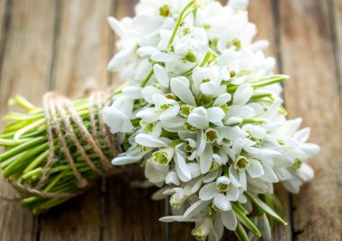 buket güzel kardelen