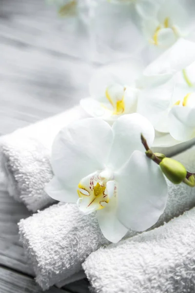 Orquídea blanca sobre fondo de madera con toalla — Foto de Stock