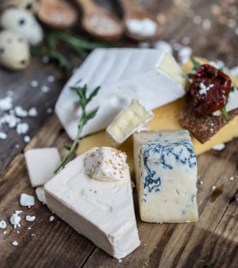 Peynir kompozisyon farklı türleri