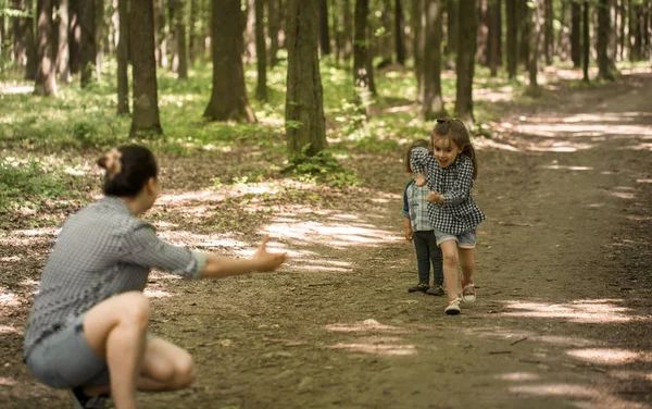 Madre con hijas jóvenes caminan en el bosque — Foto de Stock