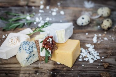 Peynir kompozisyon farklı türleri