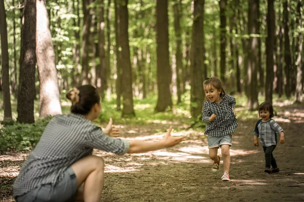 Madre con hijas jóvenes caminan en el bosque — Foto de Stock