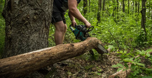 Mann mit Kettensäge sägt Baum um — Stockfoto