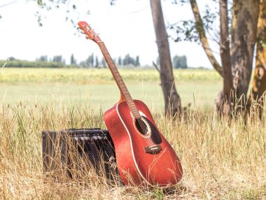 doğada gitar