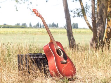 guitar in nature clipart