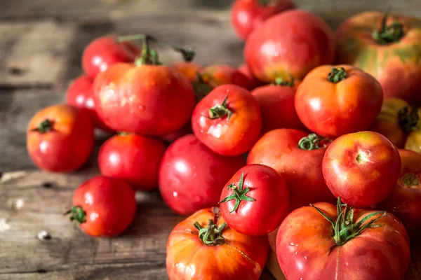 Ripe Tomatoes on wooden background — Stock Photo, Image
