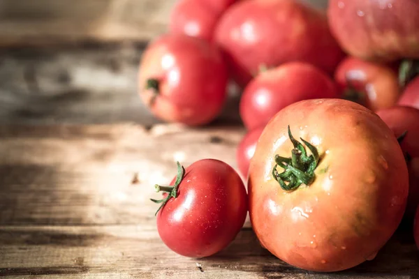Ripe Tomatoes on wooden background close-up — Stock Photo, Image